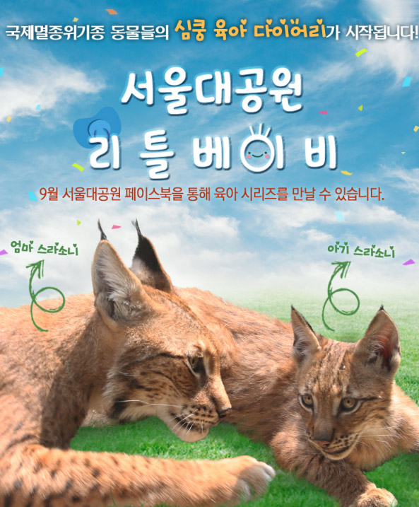 노트펫