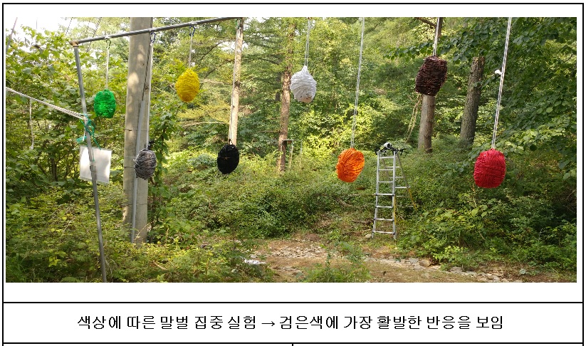 노트펫