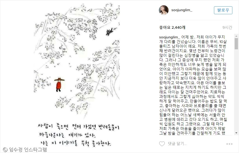 노트펫