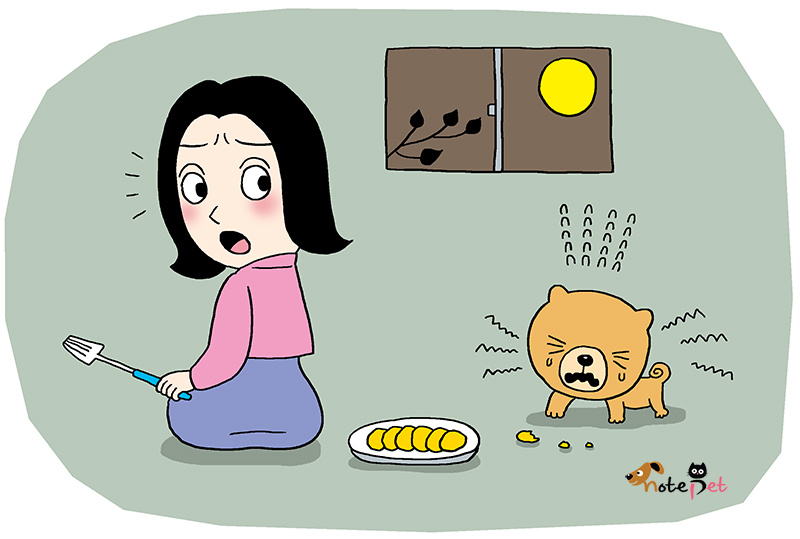 노트펫