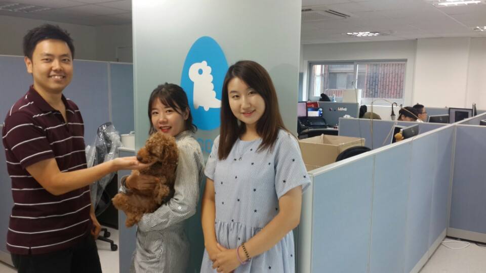 노트펫