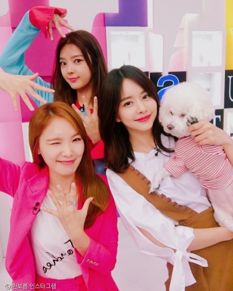 노트펫