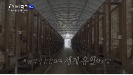 노트펫