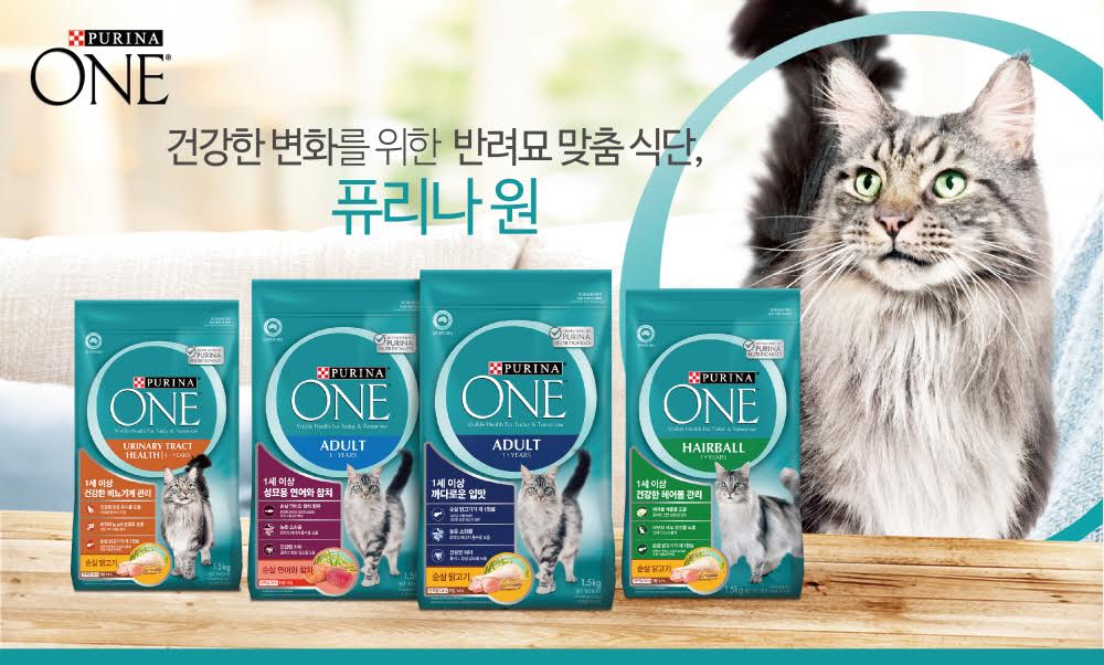노트펫