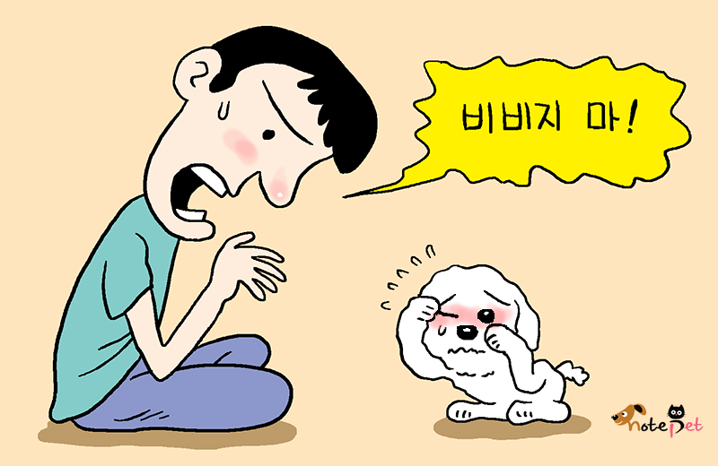 노트펫