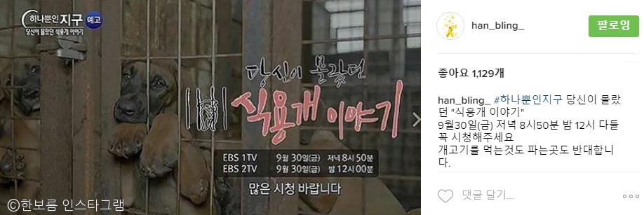 노트펫