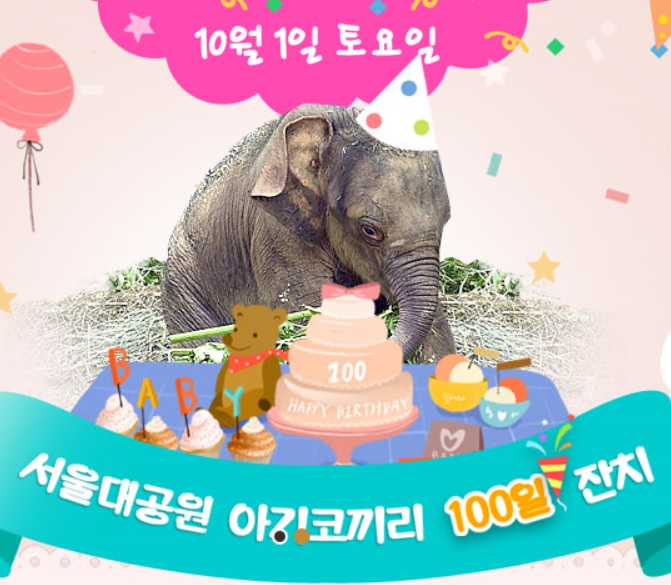 노트펫