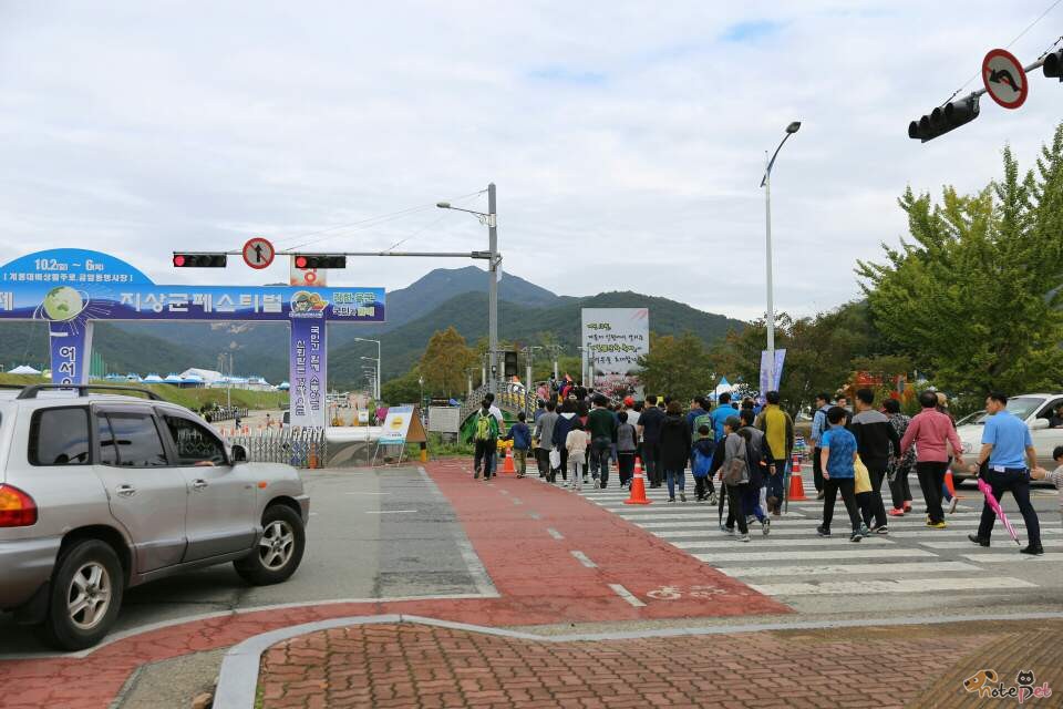 노트펫