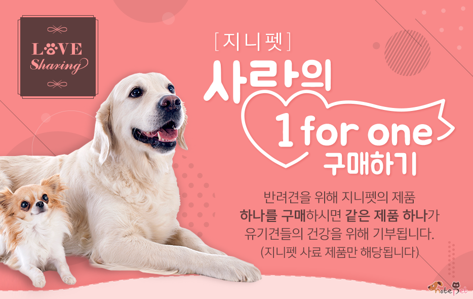 노트펫
