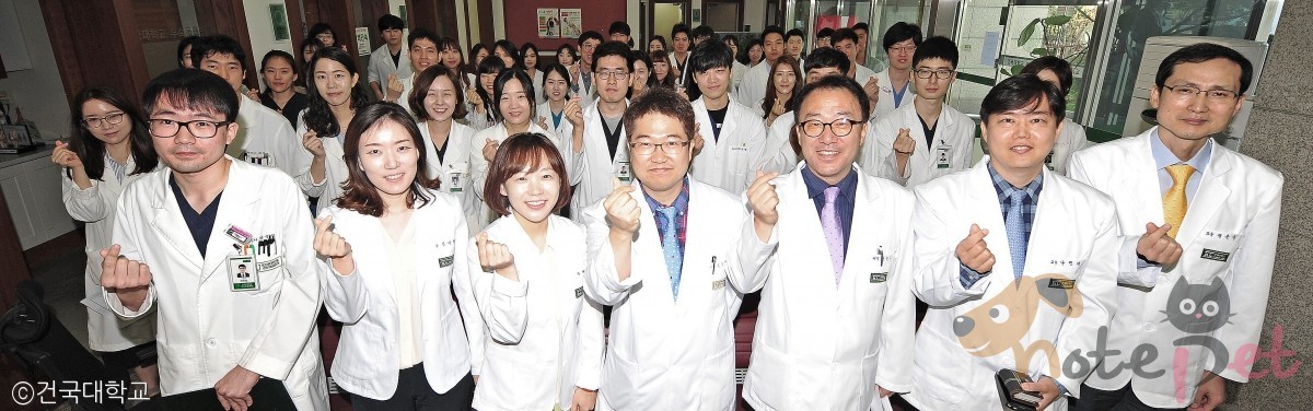 노트펫