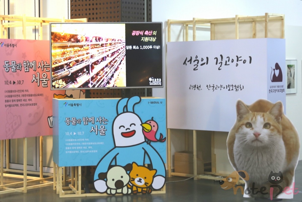 노트펫