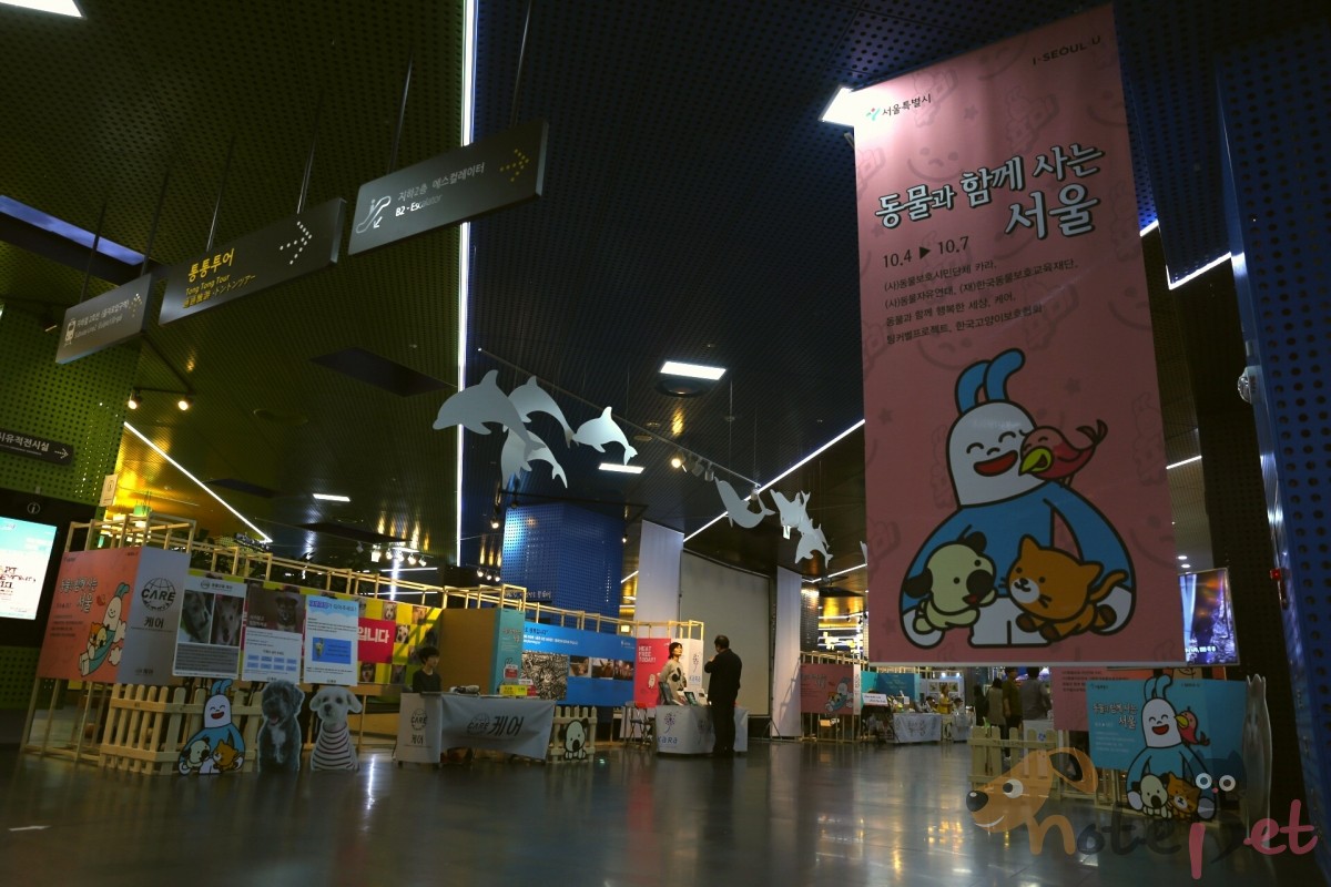 노트펫