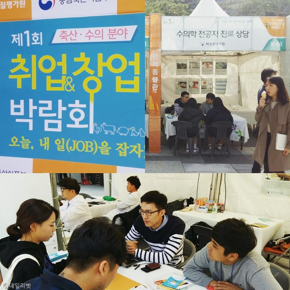 노트펫