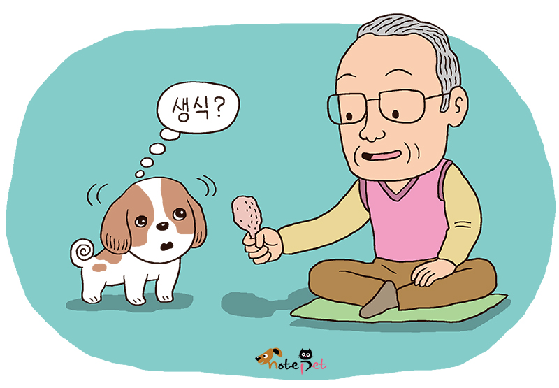 노트펫