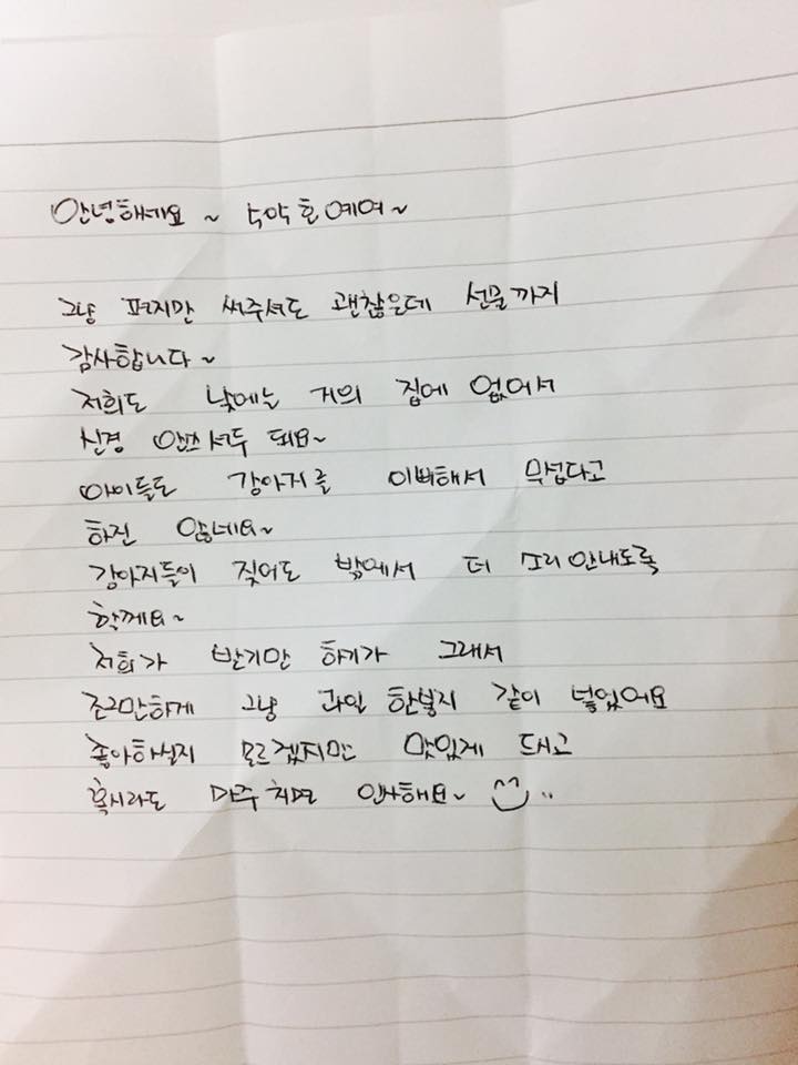 노트펫