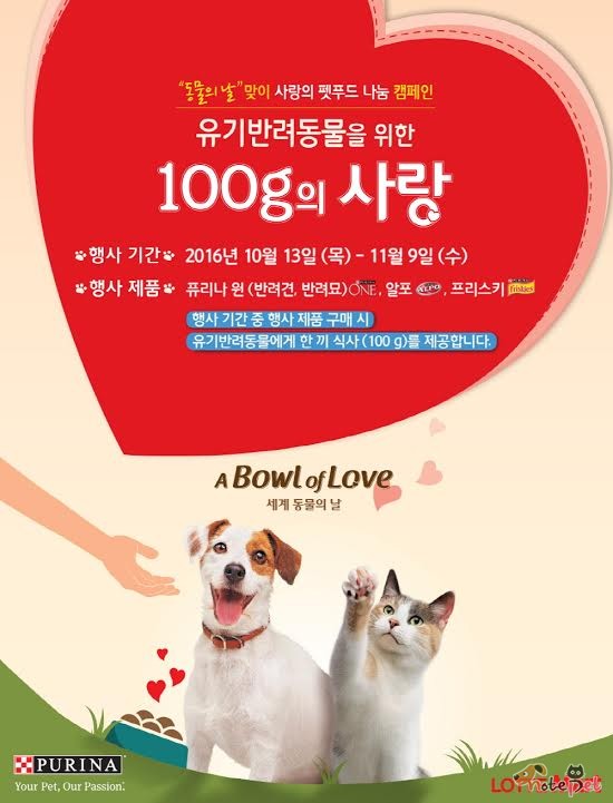 노트펫