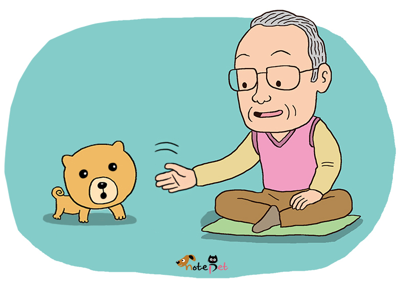 노트펫