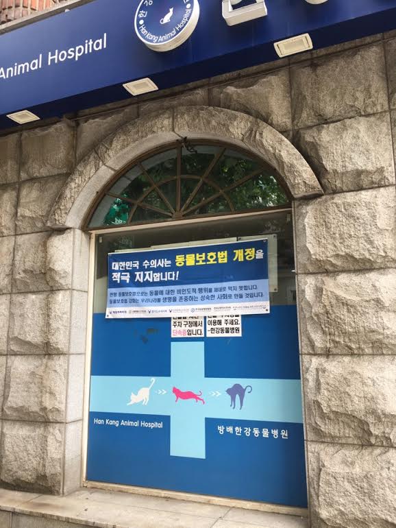 노트펫