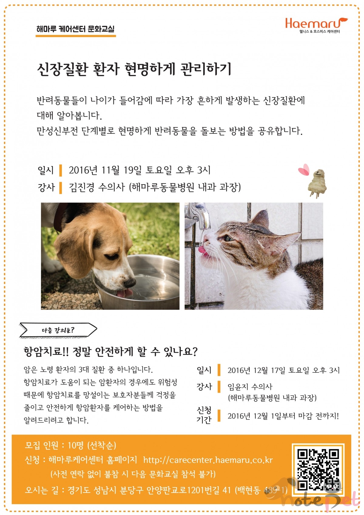 노트펫