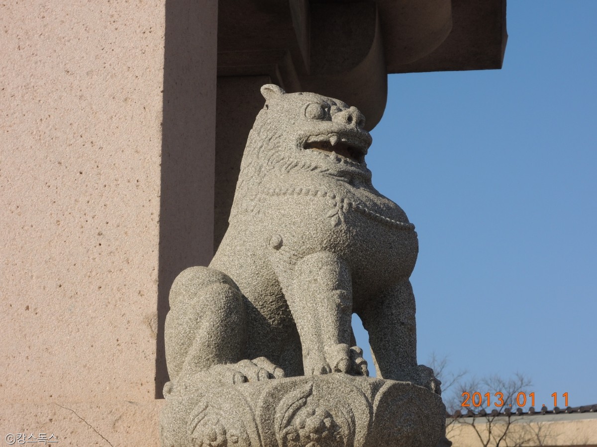 노트펫