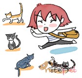 노트펫