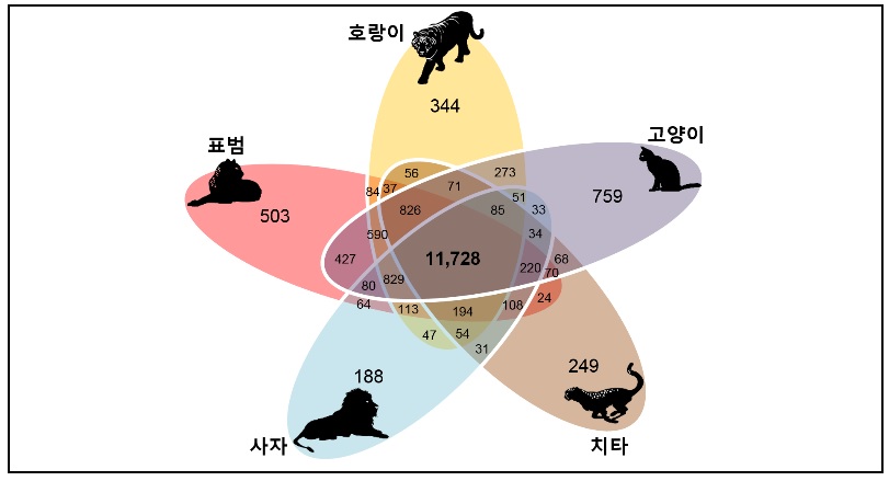노트펫