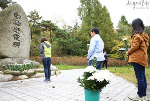 노트펫