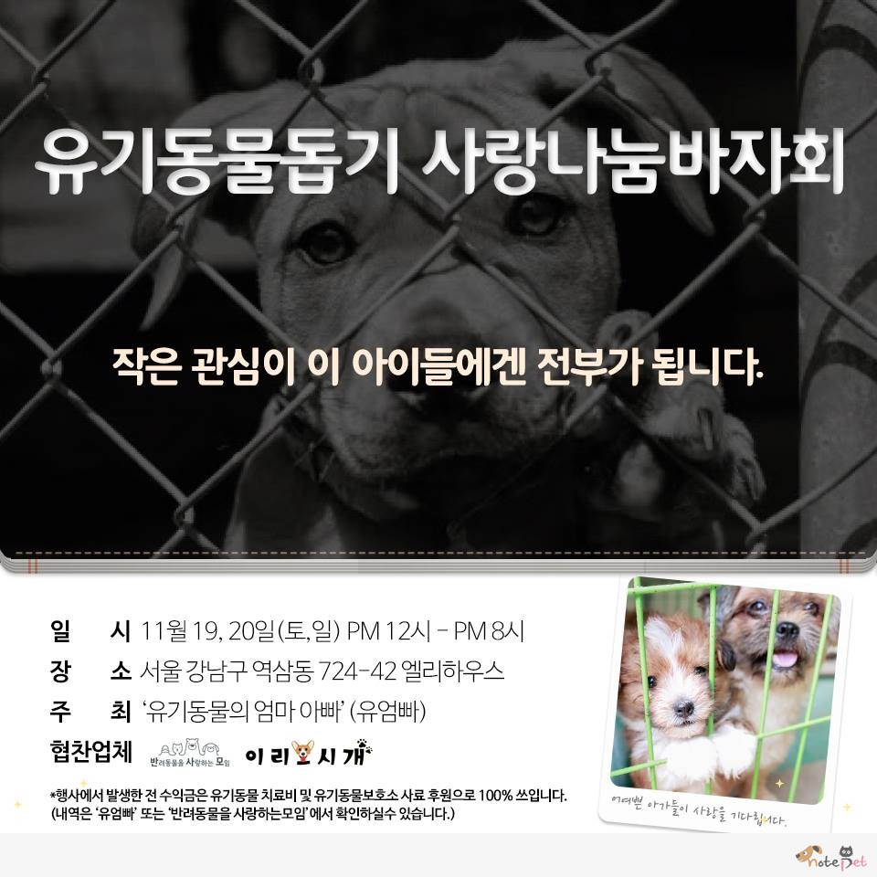 노트펫