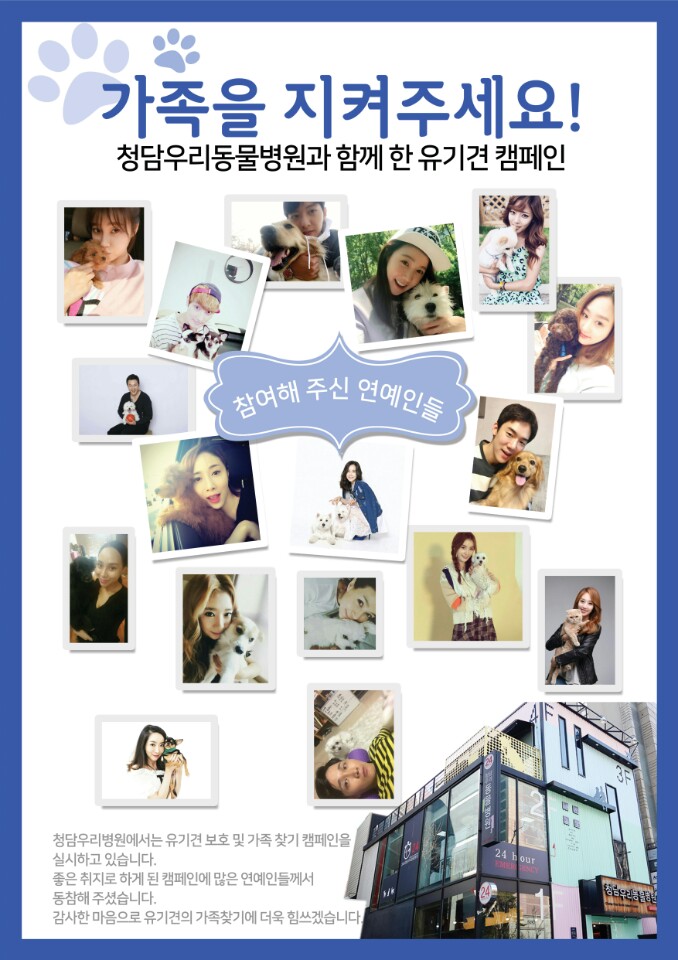 노트펫