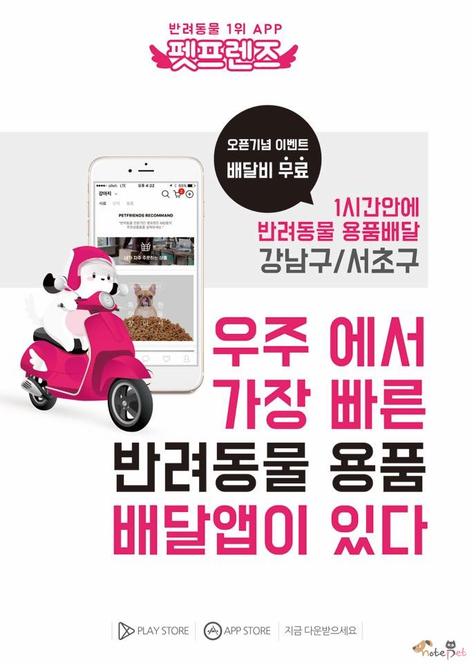 노트펫