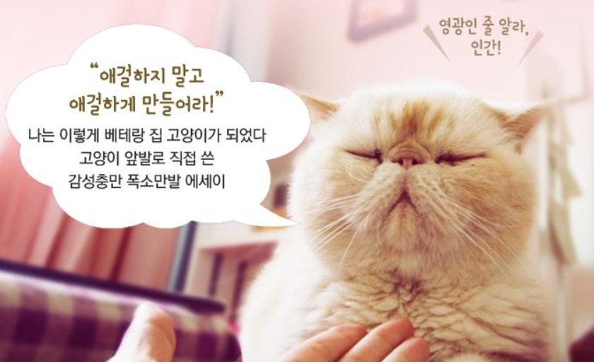 노트펫