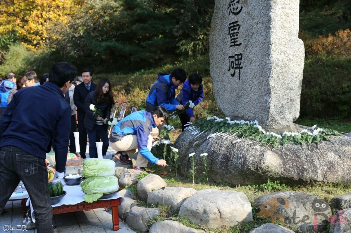 노트펫