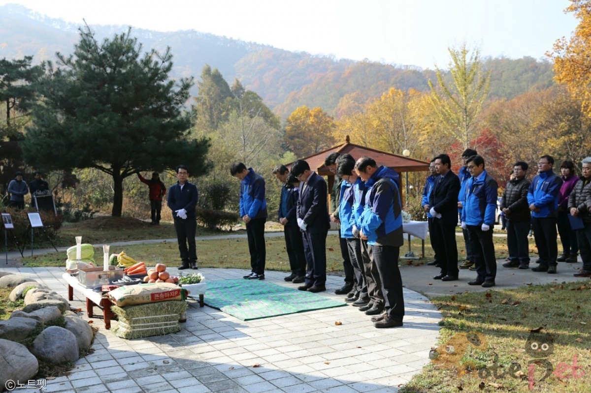 노트펫