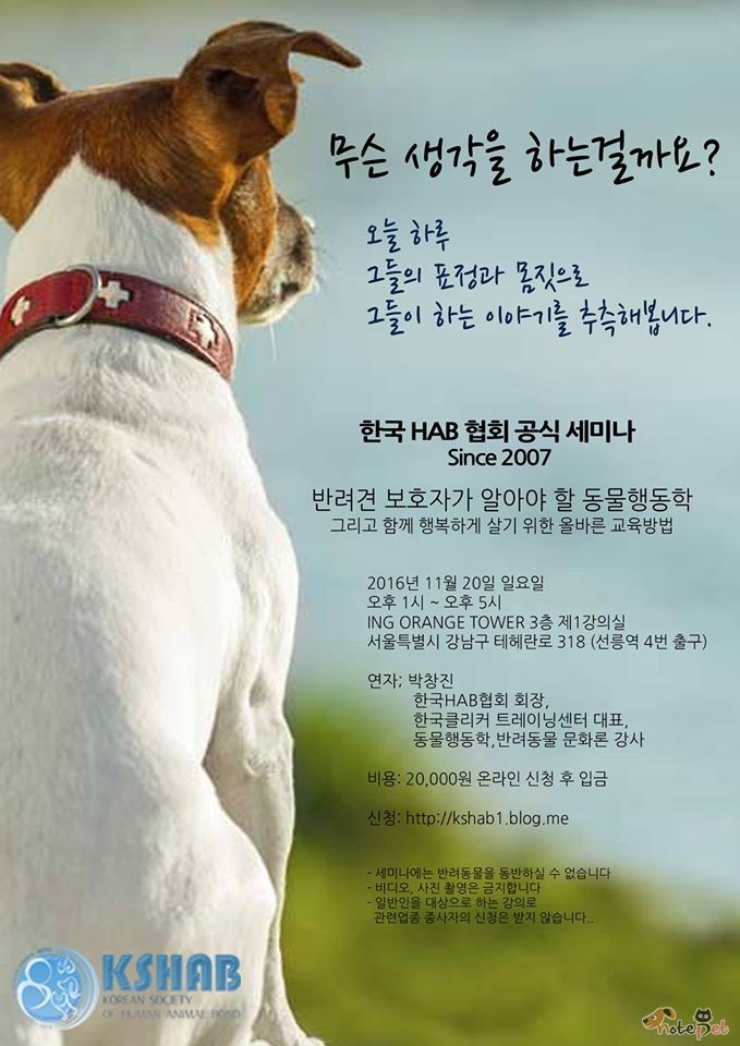 노트펫