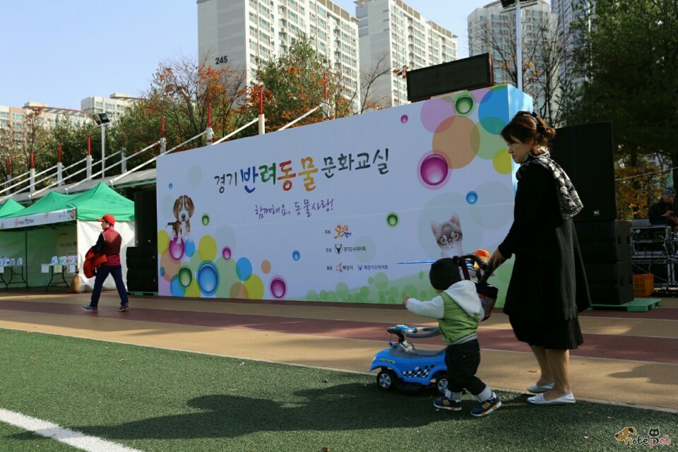 노트펫