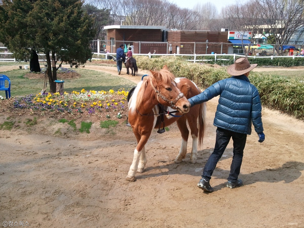 노트펫