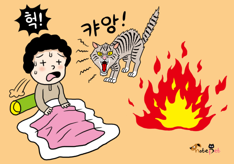 노트펫