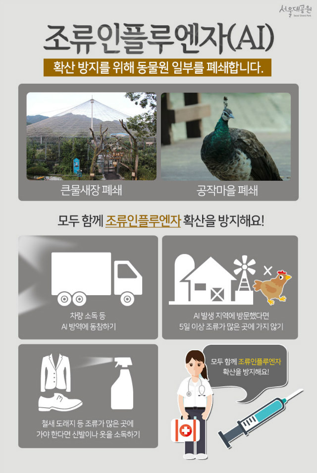 노트펫