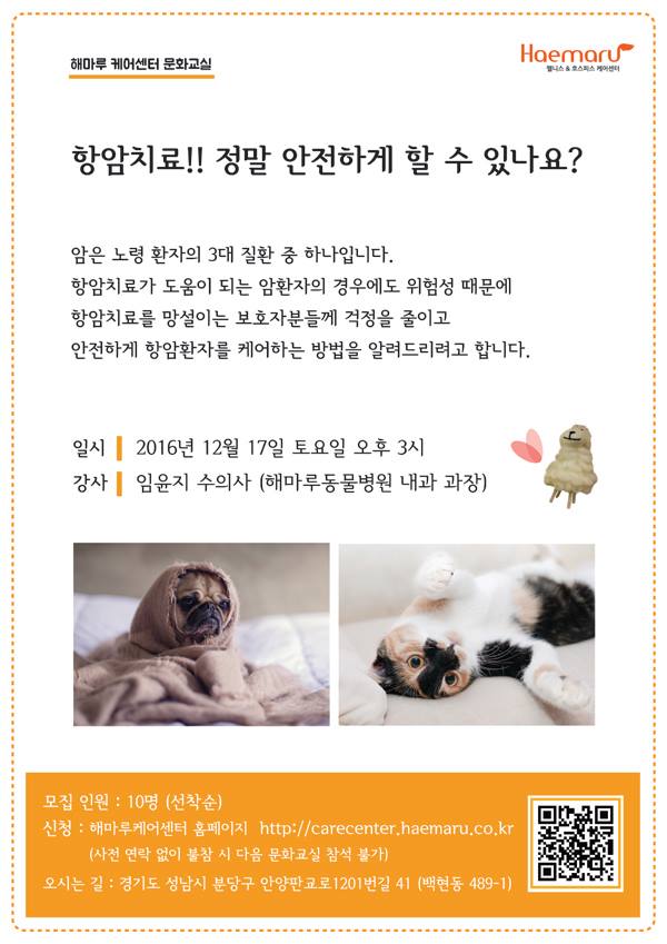 노트펫