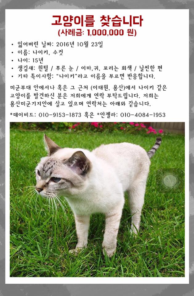 노트펫