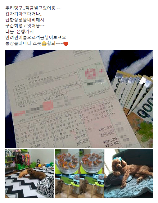 노트펫