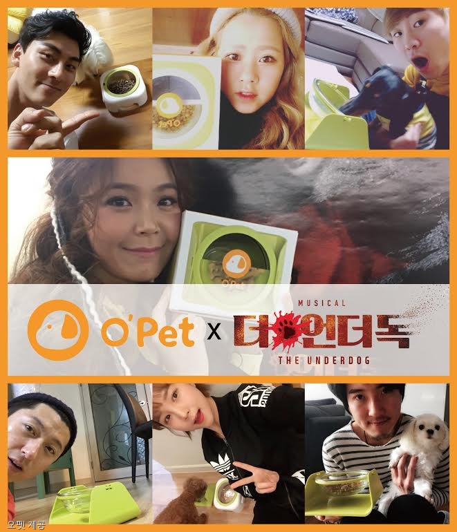 노트펫