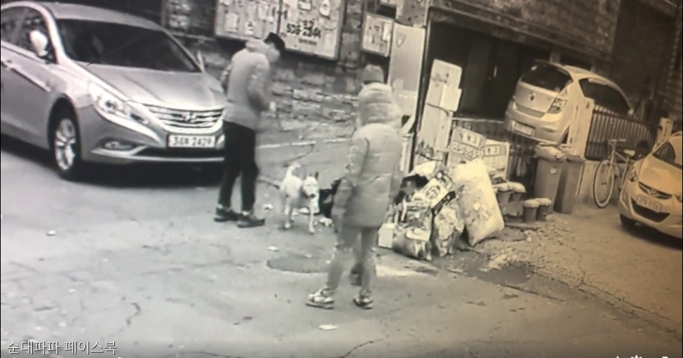 노트펫