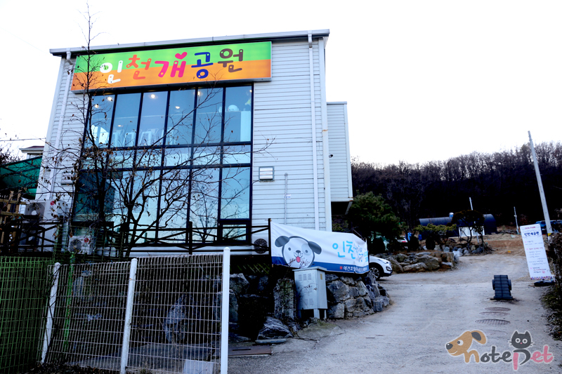 노트펫