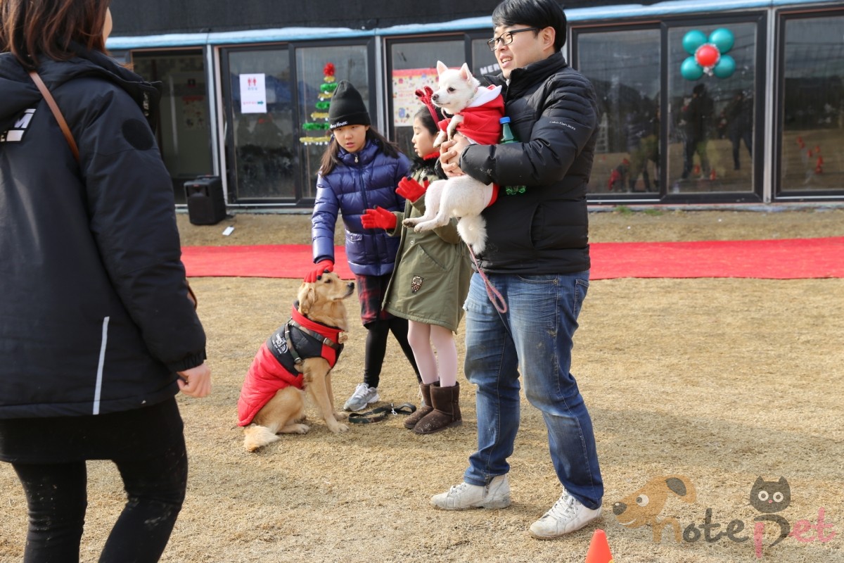 노트펫