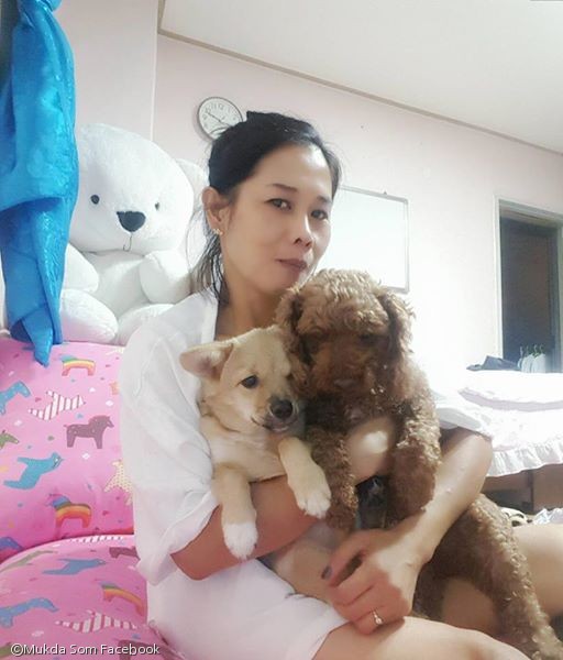 노트펫