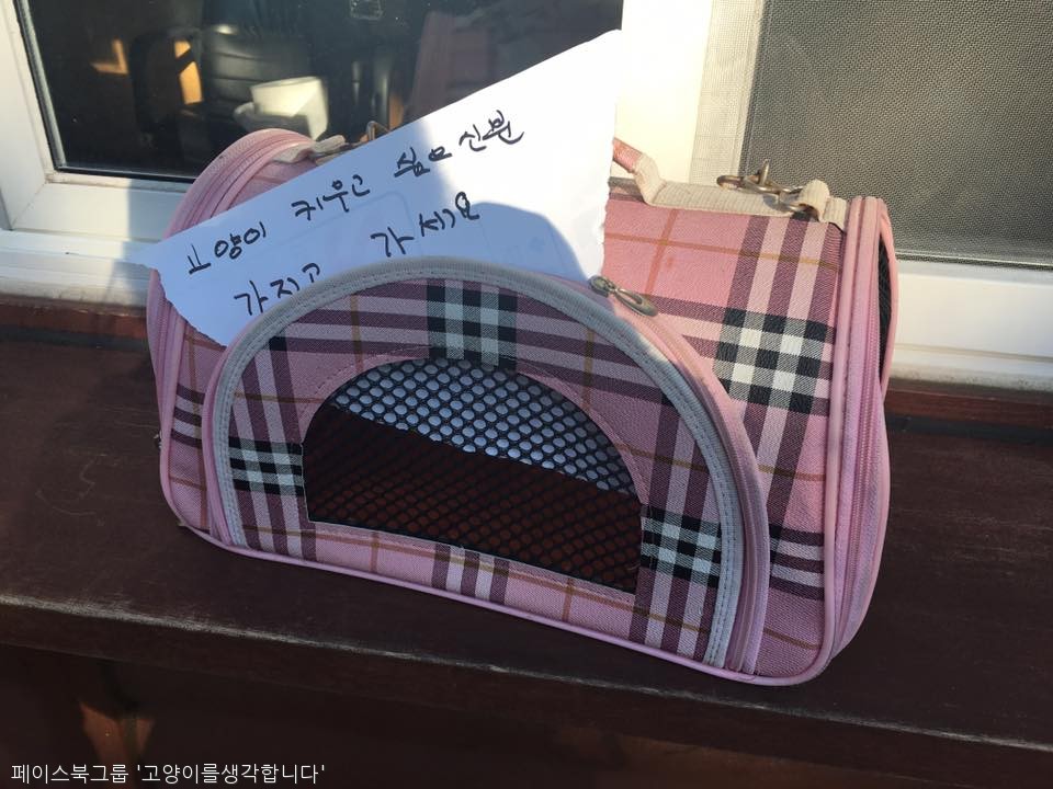 노트펫