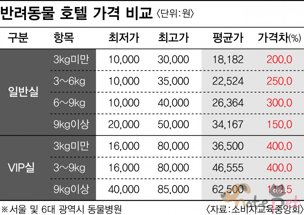 노트펫