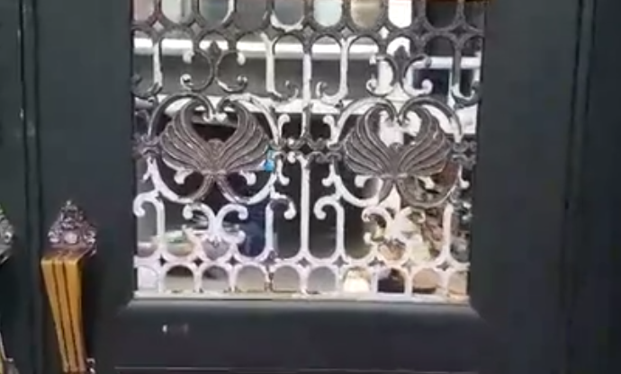 노트펫