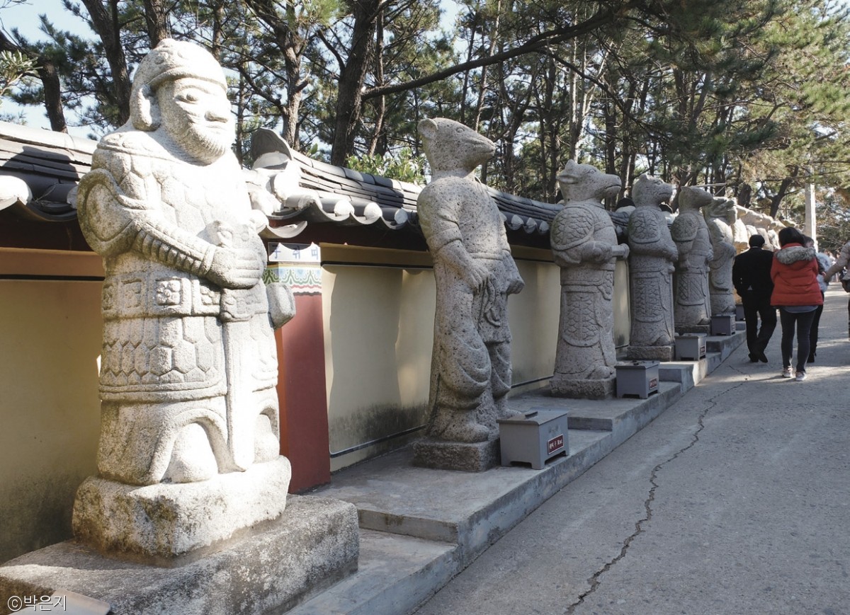 노트펫